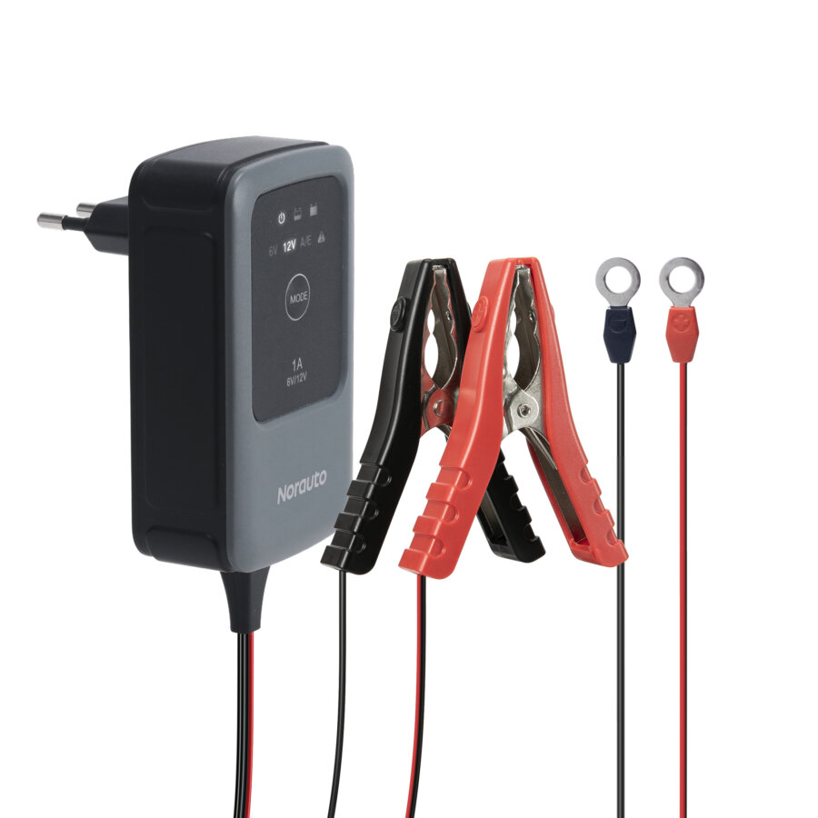 Mantenedor De Batería Norauto 6v/12v 1