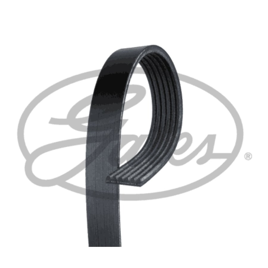 Correa Trapezoidal Ranurada Gates 6pk2100