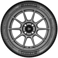 Neumático DUNLOP ALL SEASON 2 215/60 R17 100 V XL