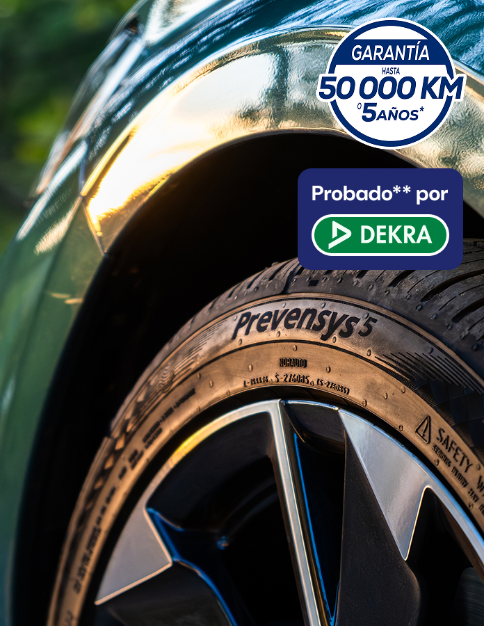 Neumáticos NEXEN 225/50 R17 - Norauto