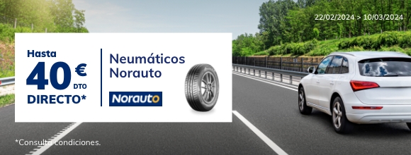 Neumático BRIDGESTONE TURANZA 6 225/45 R 17 91 Y - Norauto